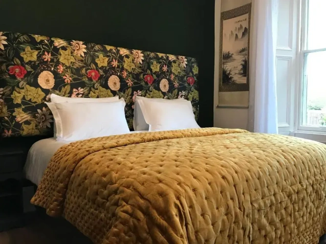 Deluxe Double Basement room