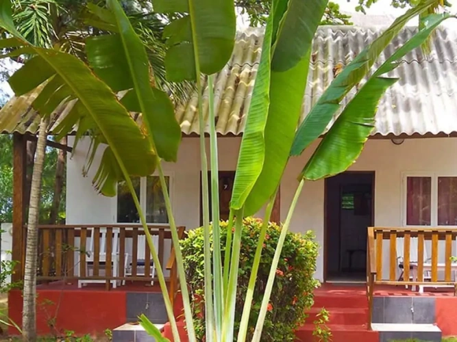 Standard Double Bungalow with sea view