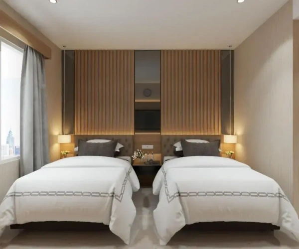 Deluxe Double room