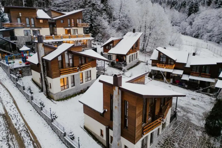 7 Cottage in Bakuriani