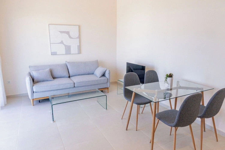 Luxury Apartment