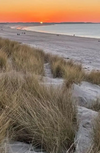 Noordzeeboulevard 51