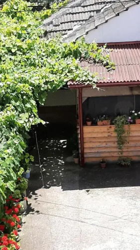 BCM Family House