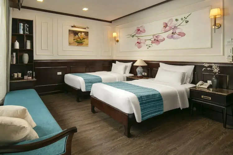 Orchid Trendy Cruise