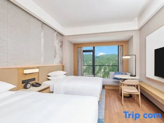 Deluxe Double room with city view