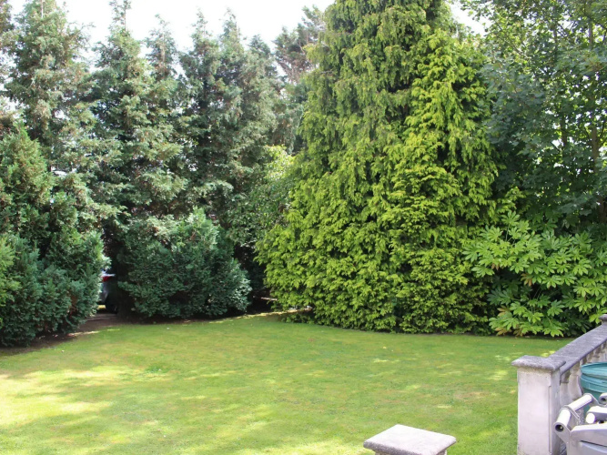 Willow Guest House