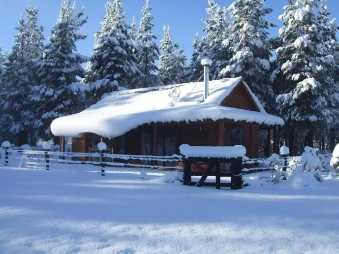 1 Bedroom Chalet