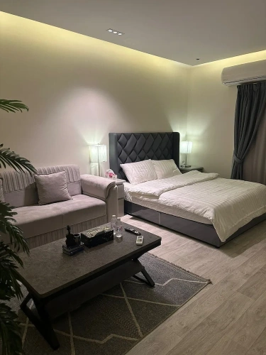 Luxury Apartment