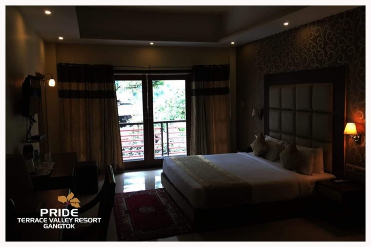 Deluxe Double room with land view