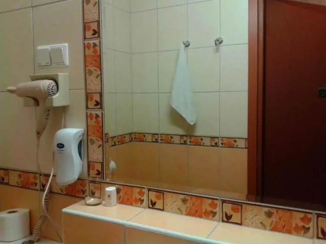 Standard Twin room with view