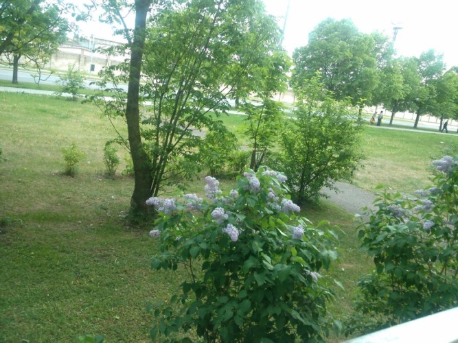 Standard Double room with balcony