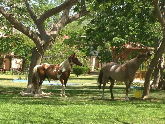 Hacienda San Francisco