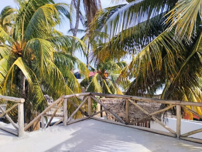 Captain Peter Guest House