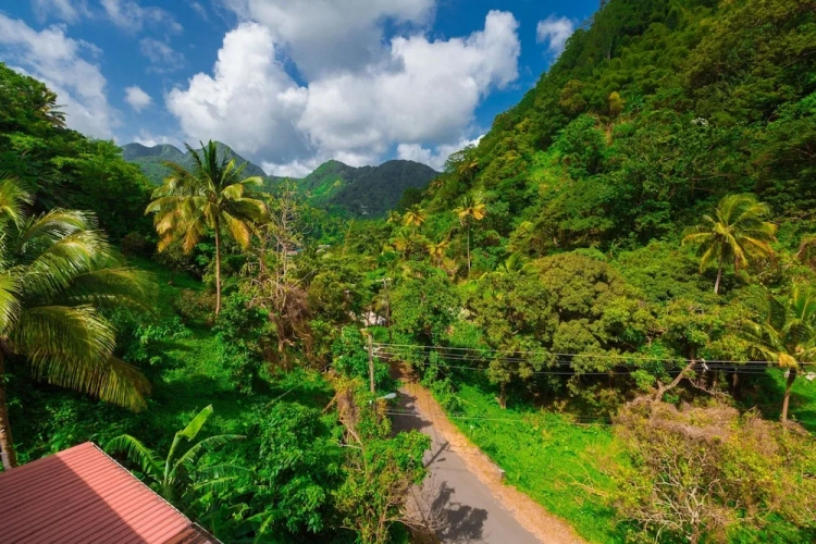 Deluxe Double room with balcony and with mountain view
