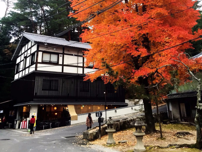 Auberge Mizuhaso