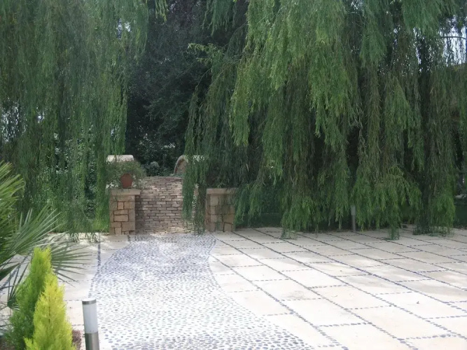 Villa Tosca. Son Menut