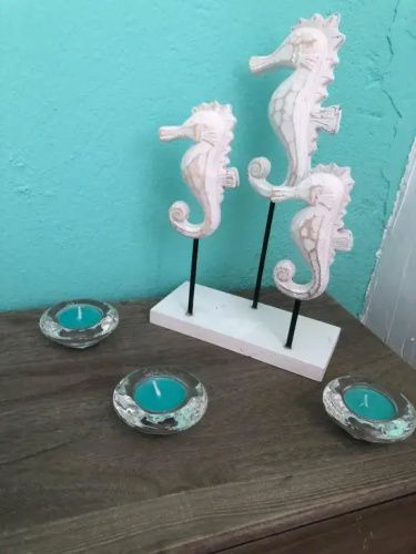 The turquoise house
