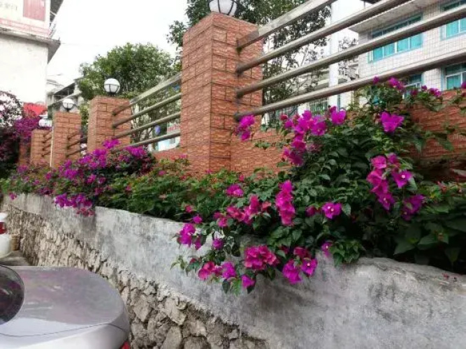 95 Hotel Chain (Pingtang)