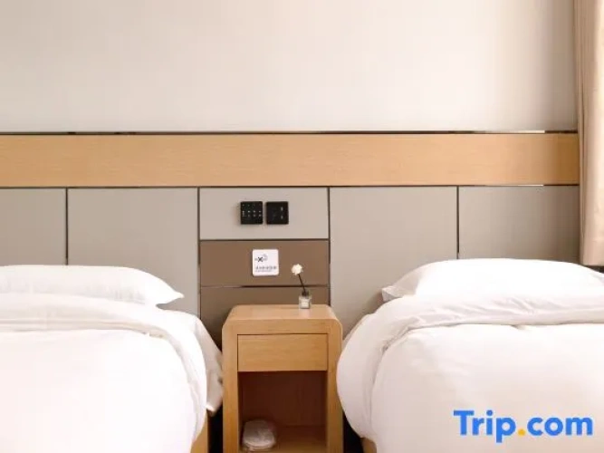 Economy Twin room