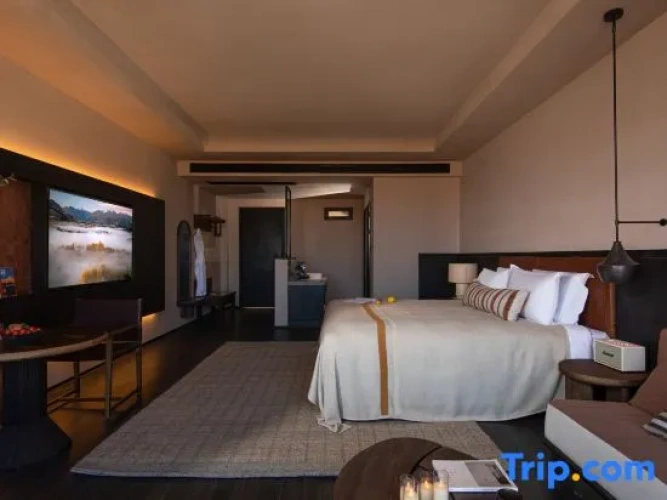 Standard Double room with mountain view