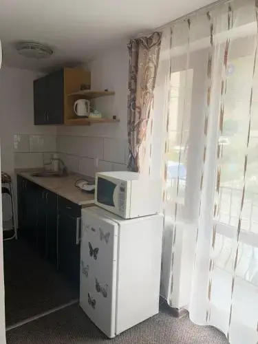 Vila Ammos Apartments Busteni