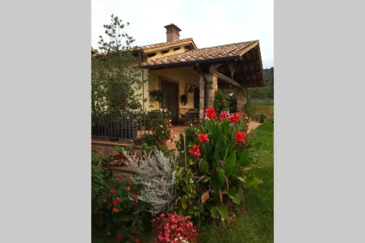 wine apartment le sedici