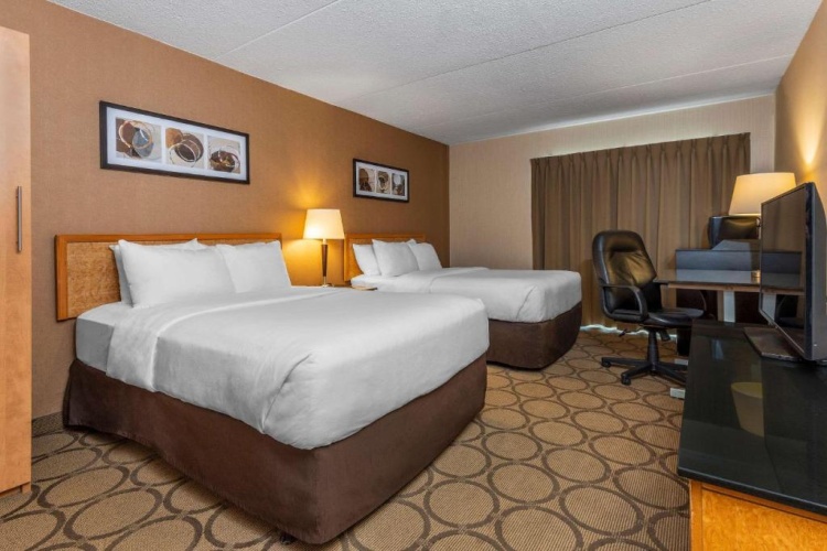Deluxe Quadruple Basement room