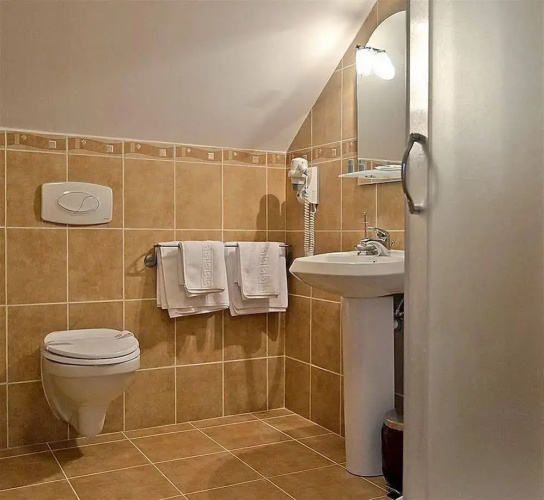 Hotel Hanul Domnesc