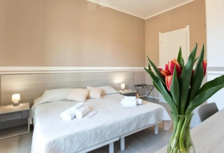 Deluxe Double room with balcony