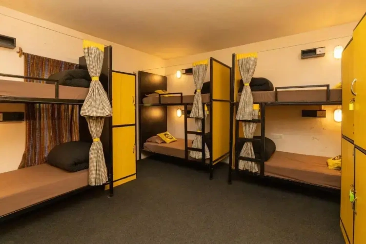 Bed in Dorm