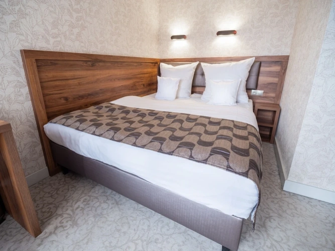 1 Bedroom Standard Double room