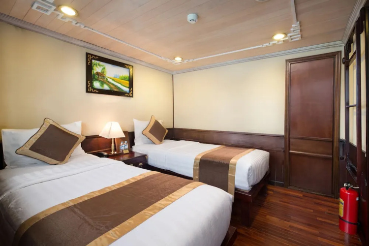 Apricot Premium Cruise