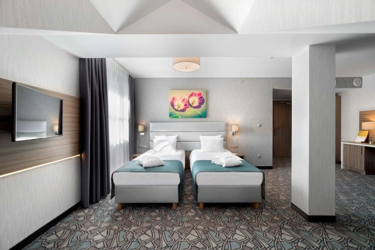 Deluxe Twin room