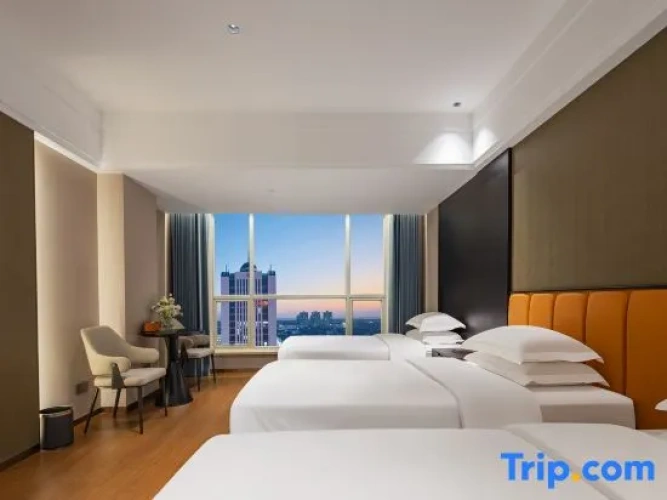 Business Twin room with city view