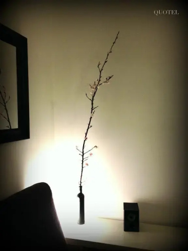 Quotel Apartament