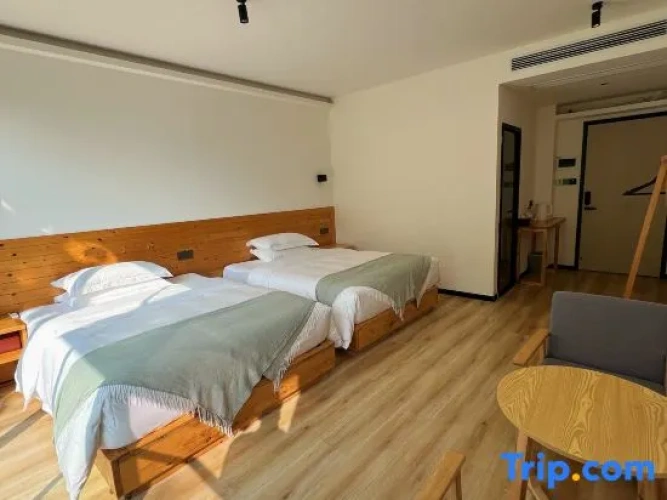 Standard Twin room with view