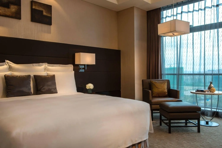 Double Club Suite with city view