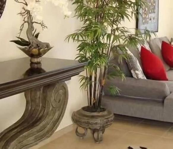 3 Bedrooms Superior Villa with balcony and with view