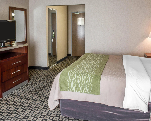 Quality Inn photo 7