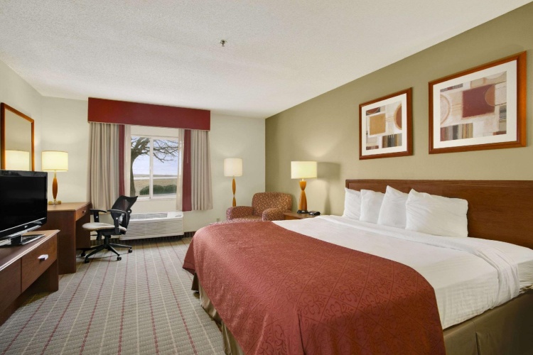 Standard Double room
