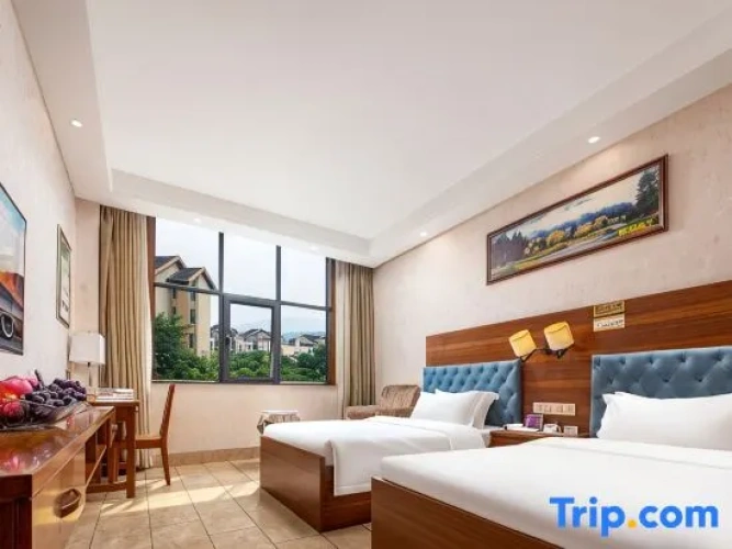 Standard Twin Family room