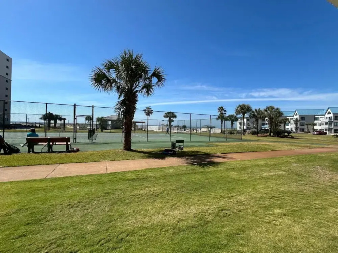 Plantation Palms 6103