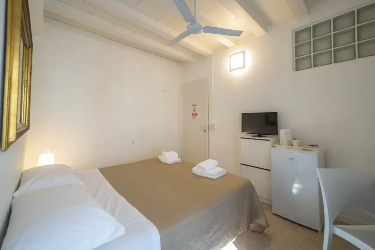 Basic Double room