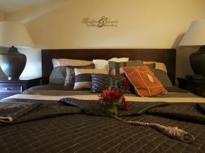 1 Bedroom Luxury Apartment