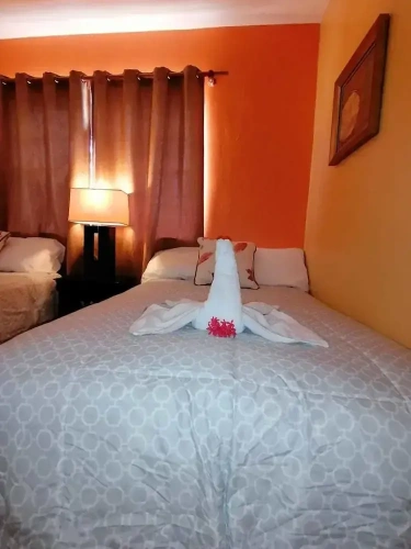 1 Bedroom Comfort Double room with view
