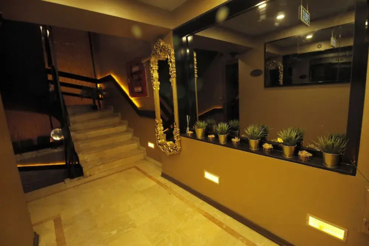 Elegant House