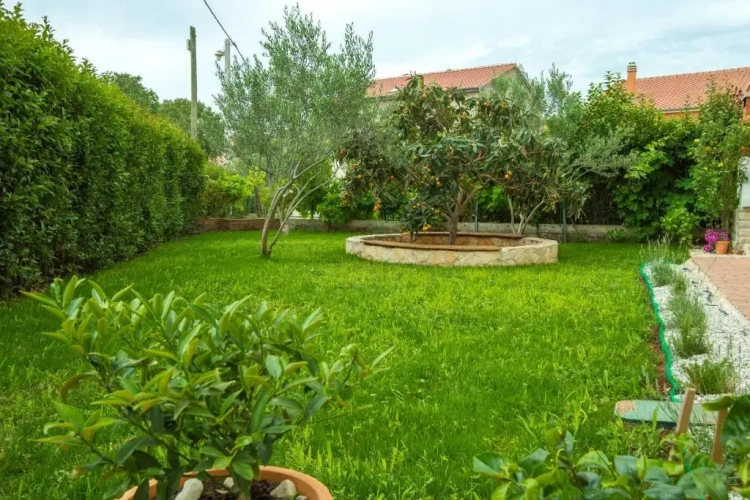 2 Bedrooms Apartment with balcony and with view