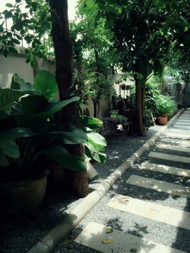 Little Mango Lovely Home