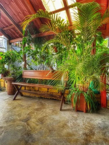 Hostal El Colibri