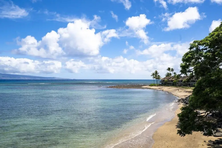 Kahana Reef 320